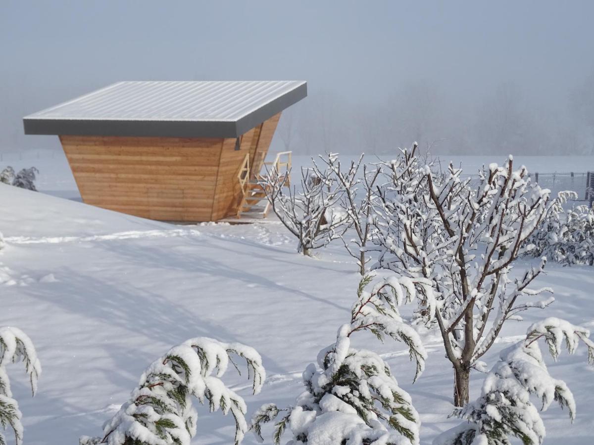 Logis Las Crozas La Poupe Vernines Exterior photo